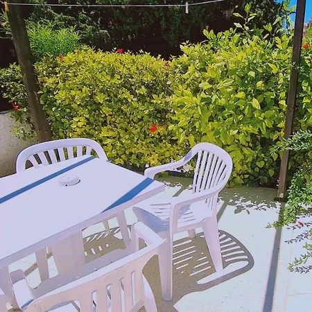 Garden *